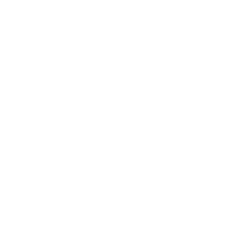 AI Assistant